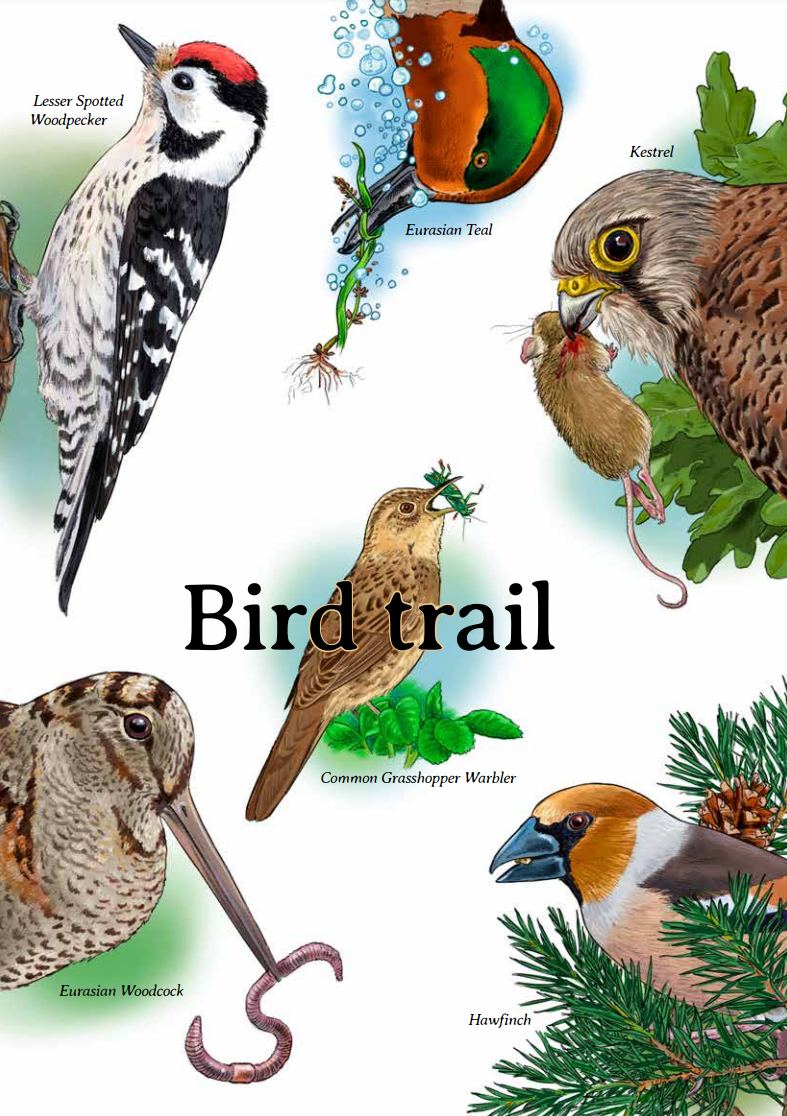Bird trail