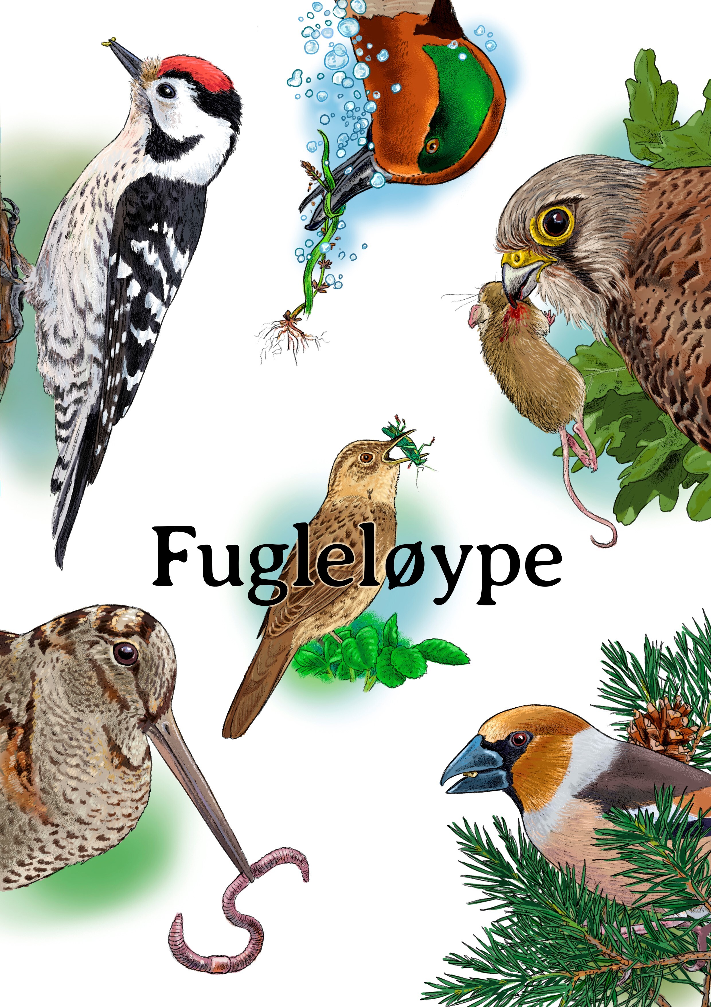 Fugleløype