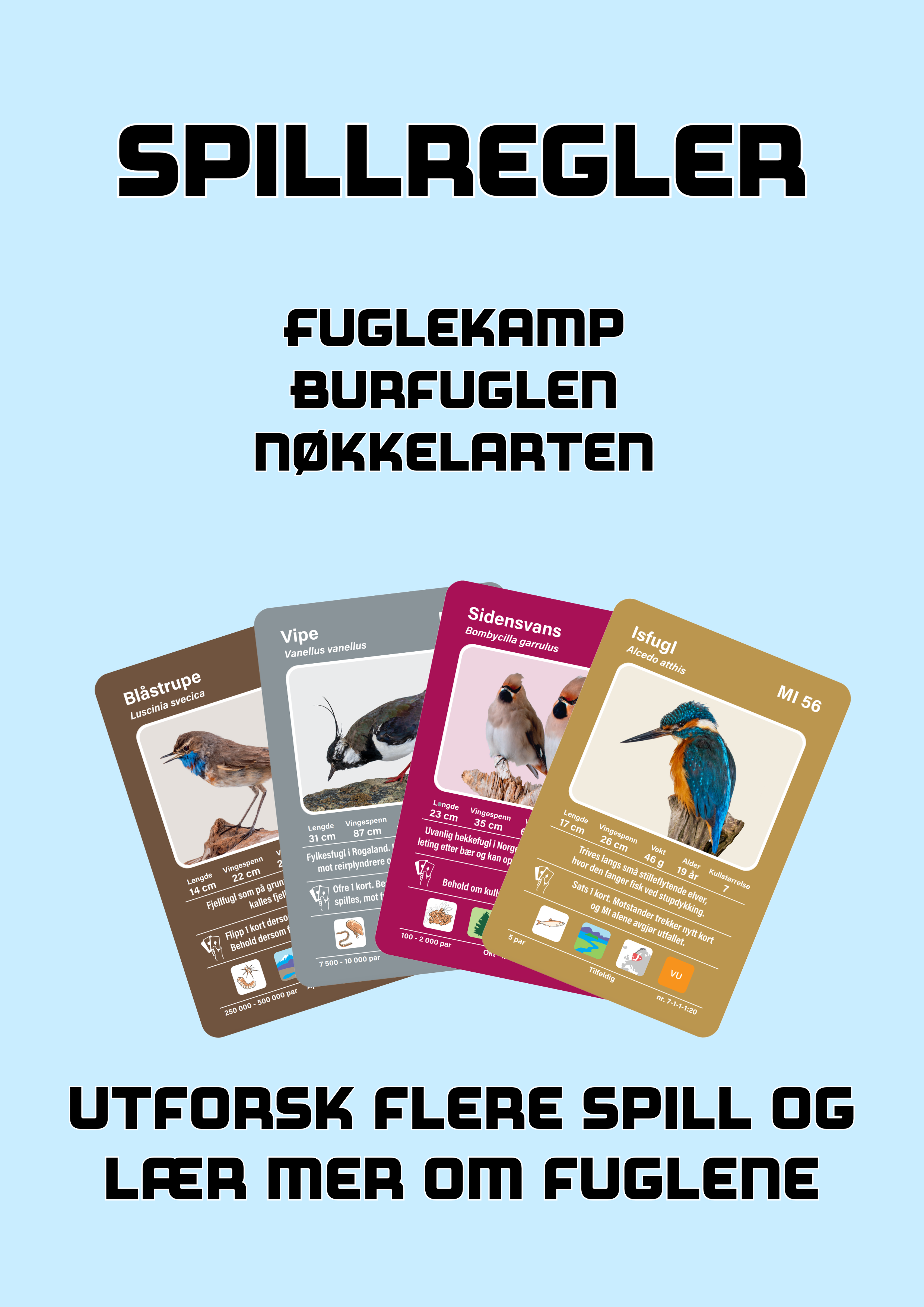 Fuglekort spillregler