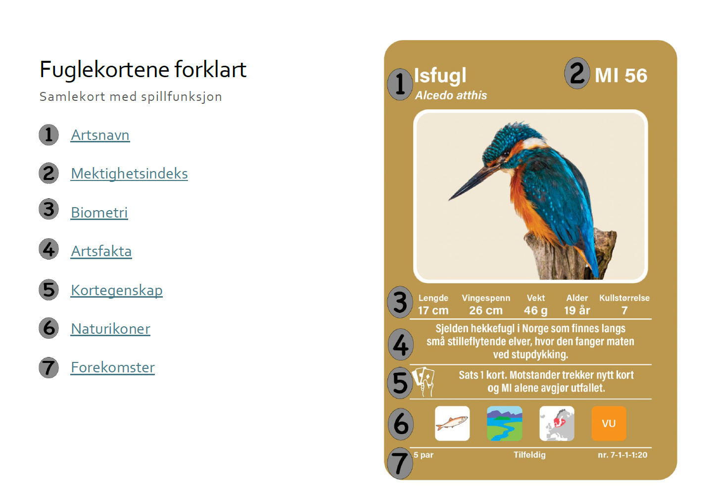 Fuglekortene forklart